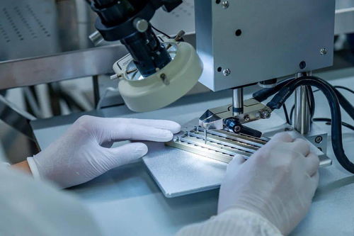 綠色為底 低碳為筆 仁和區 七大 示范引領工程推動綠色轉型