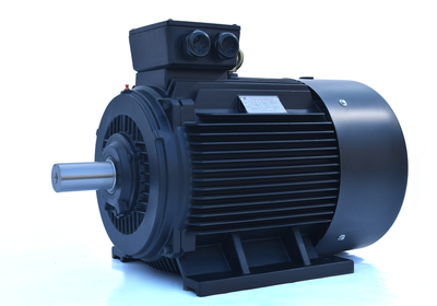 選永磁電機(jī)到山東力久