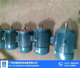 三相異步振動電機(jī) 煌速機(jī)電專業(yè)電機(jī)生產(chǎn)