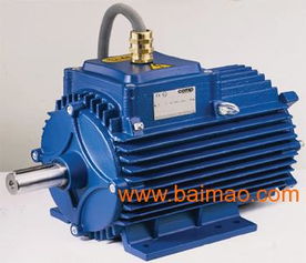 供應(yīng)進(jìn)口單相防爆電機(jī)CEMP 綜合指南與市場(chǎng)分析